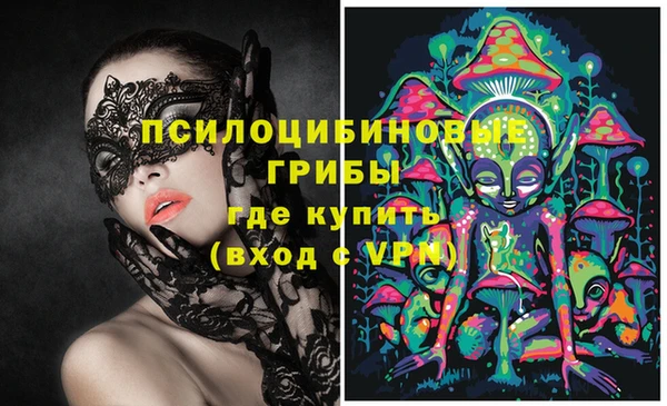 спиды Белокуриха